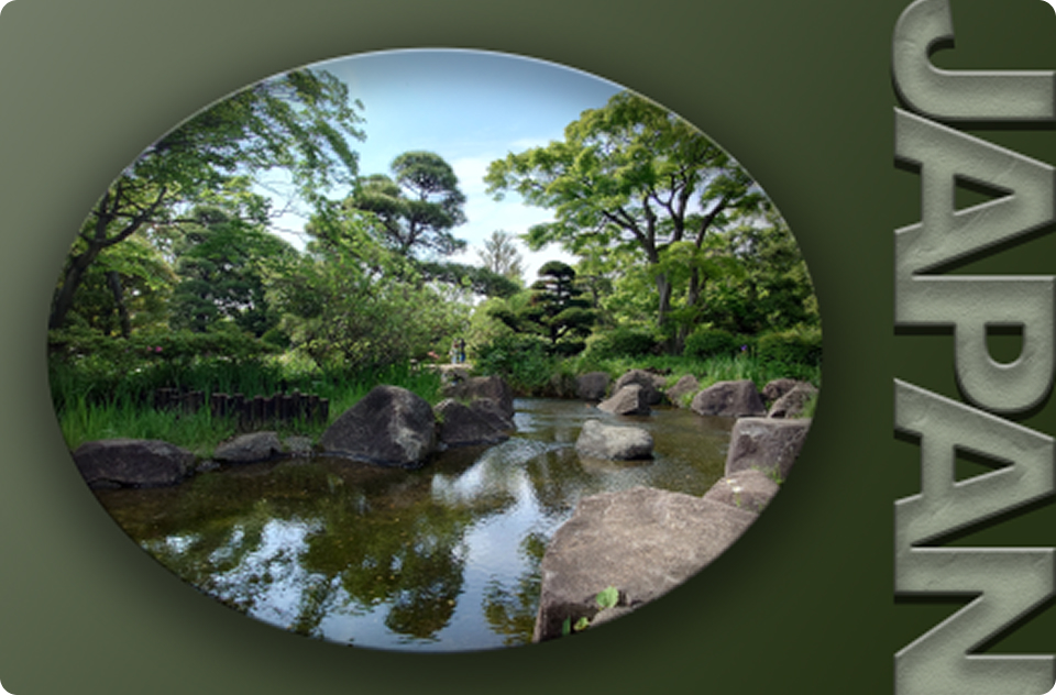 3DCG制作 / 映像制作 / デッサン / 写真テクニック / クレイ&ドローイング