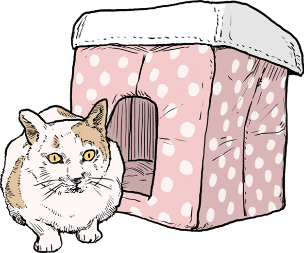 CAT PLAZA with NECO REPUBLIC