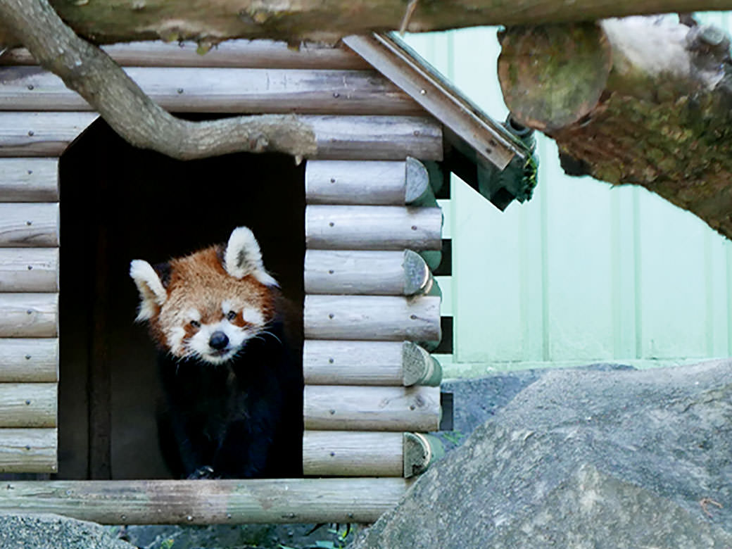 江戸川区自然動物園