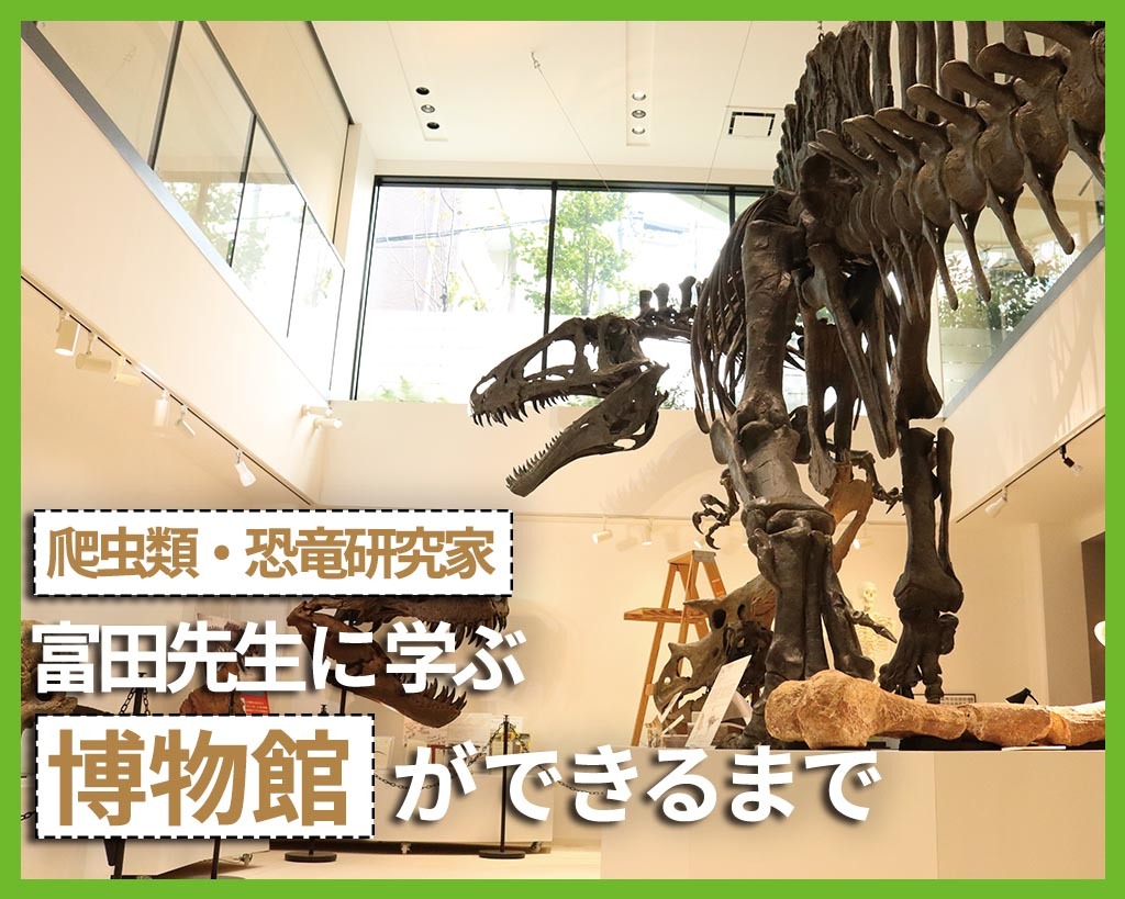 爬虫類・恐竜研究家富田先生に学ぶ博物館ができるまで