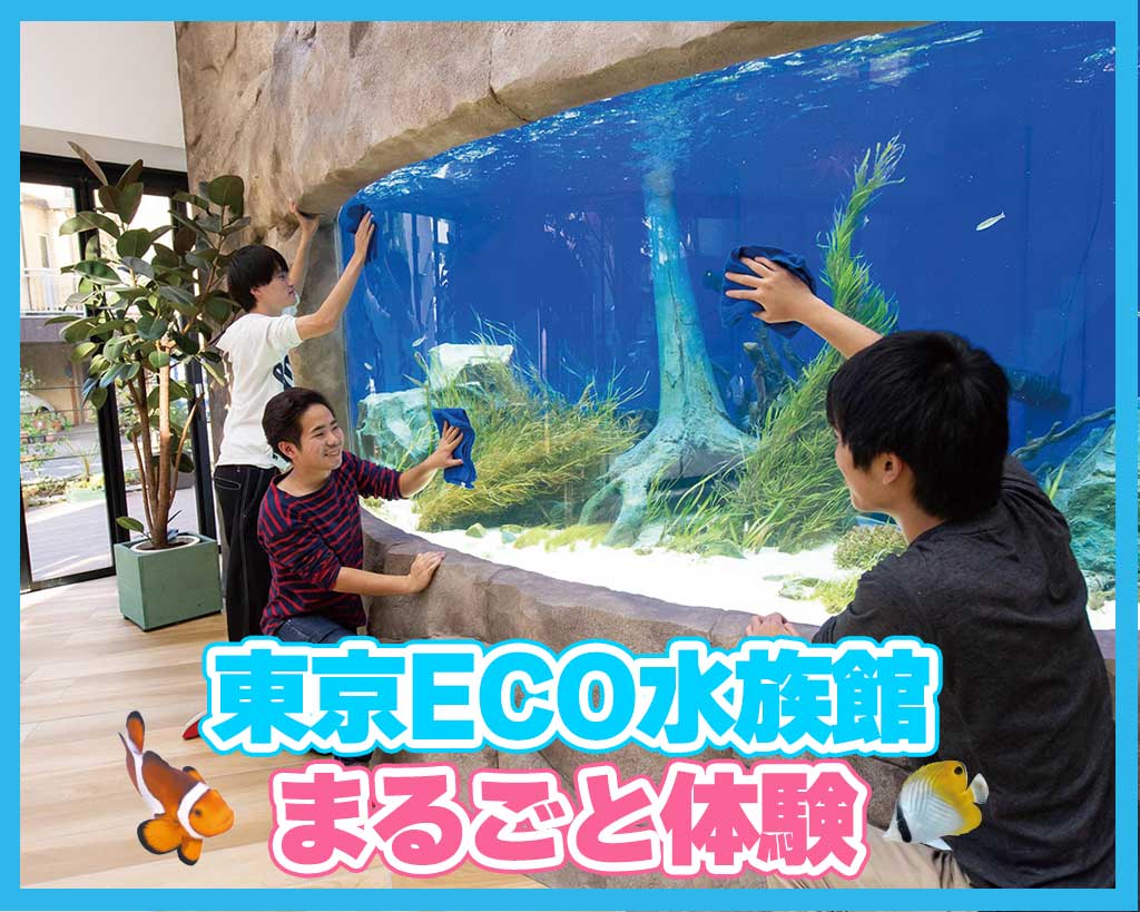 東京ECO水族館まるごと体験