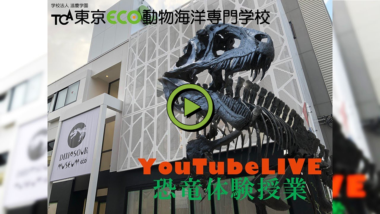 5月23日オンラインLIVE体験授業＜恐竜・自然史博物＞