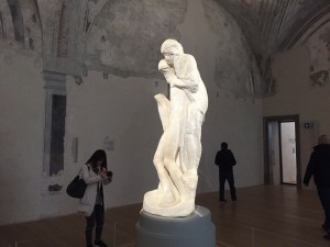 IMG_6484