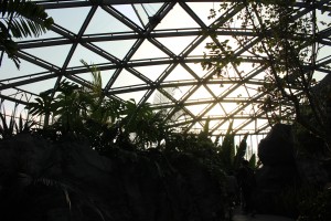 IMG_7438