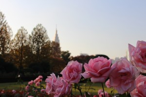 IMG_7463